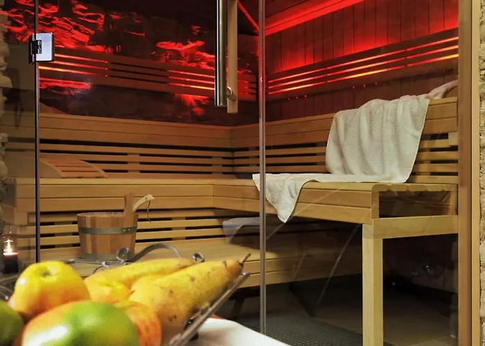 酒店 赫尼施洛斯臣酒店 4*